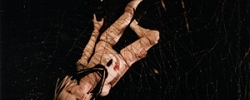 h01.jpg